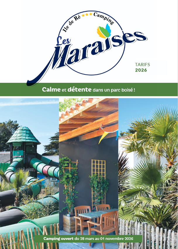 Capture d’écran 2026-01-16 102634